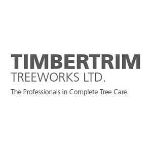 Toronto Cleaning Gro